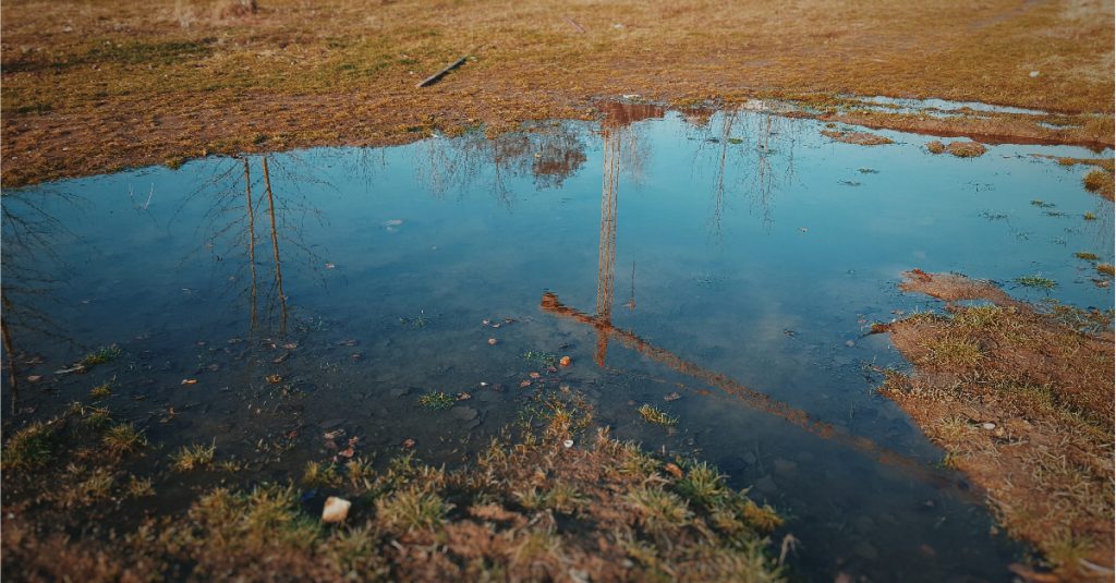Why Stagnant Water Is a Serious Environmental Issue?